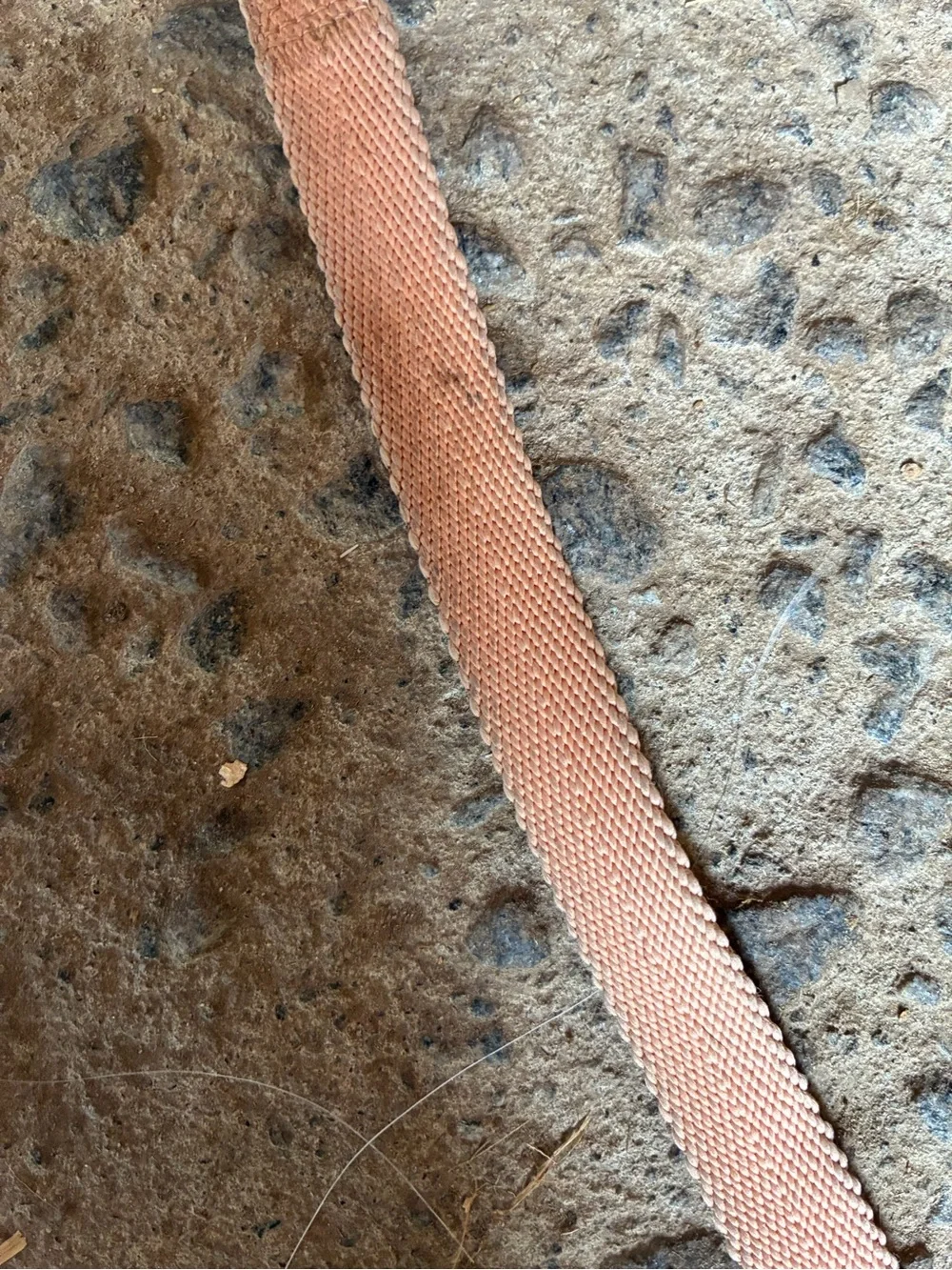 Peach Dog Leash with Metal Clip - DOGS & CATS & CO.